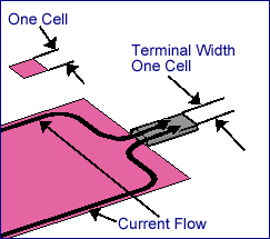 One cell width